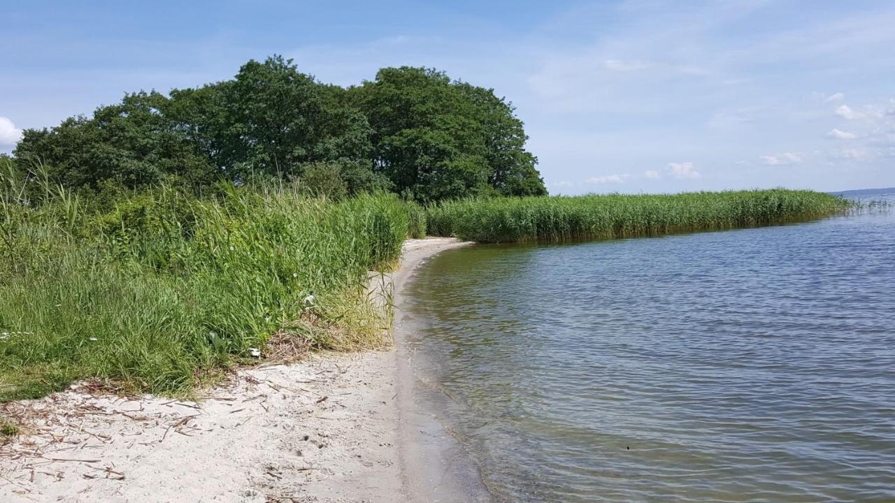 Ferienhaus "Biberburg Am Haff" Garz  Exteriör bild